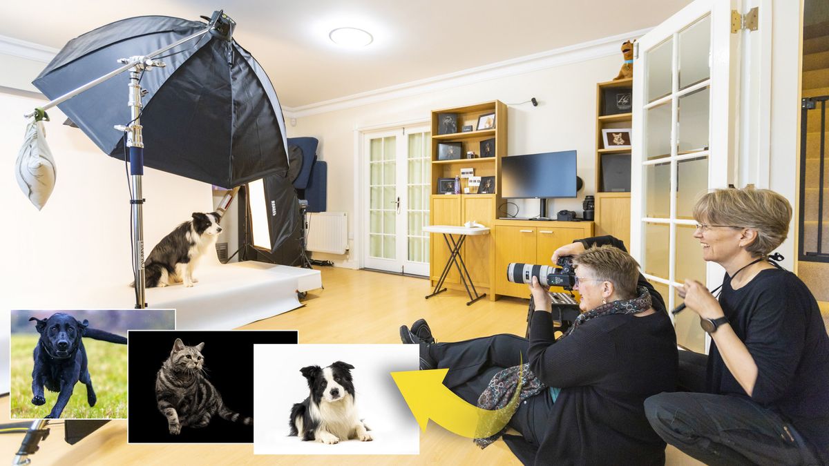 PhotoPlus Pet Portraits Apprentice