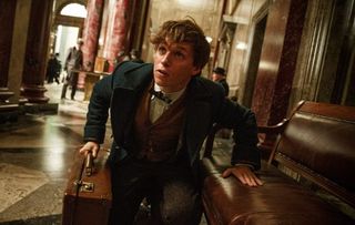 Fantastic Beasts and Where to Find Them Eddie Redmayne