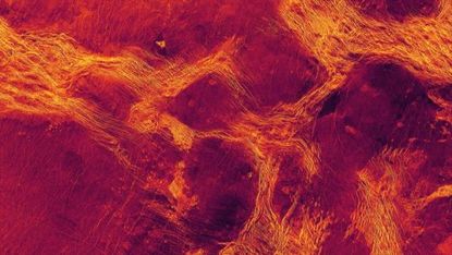 This image shows a 684-mile-wide (1,100 kilometers) false-color radar view of a lowland region on Venus called Lavinia Planitia. The colors show where Venus' crust, or lithosphere, is divided into structures a bit like Earth's tectonic plates. The purple regions are the blocks, and their divisions are colored in yellow.
