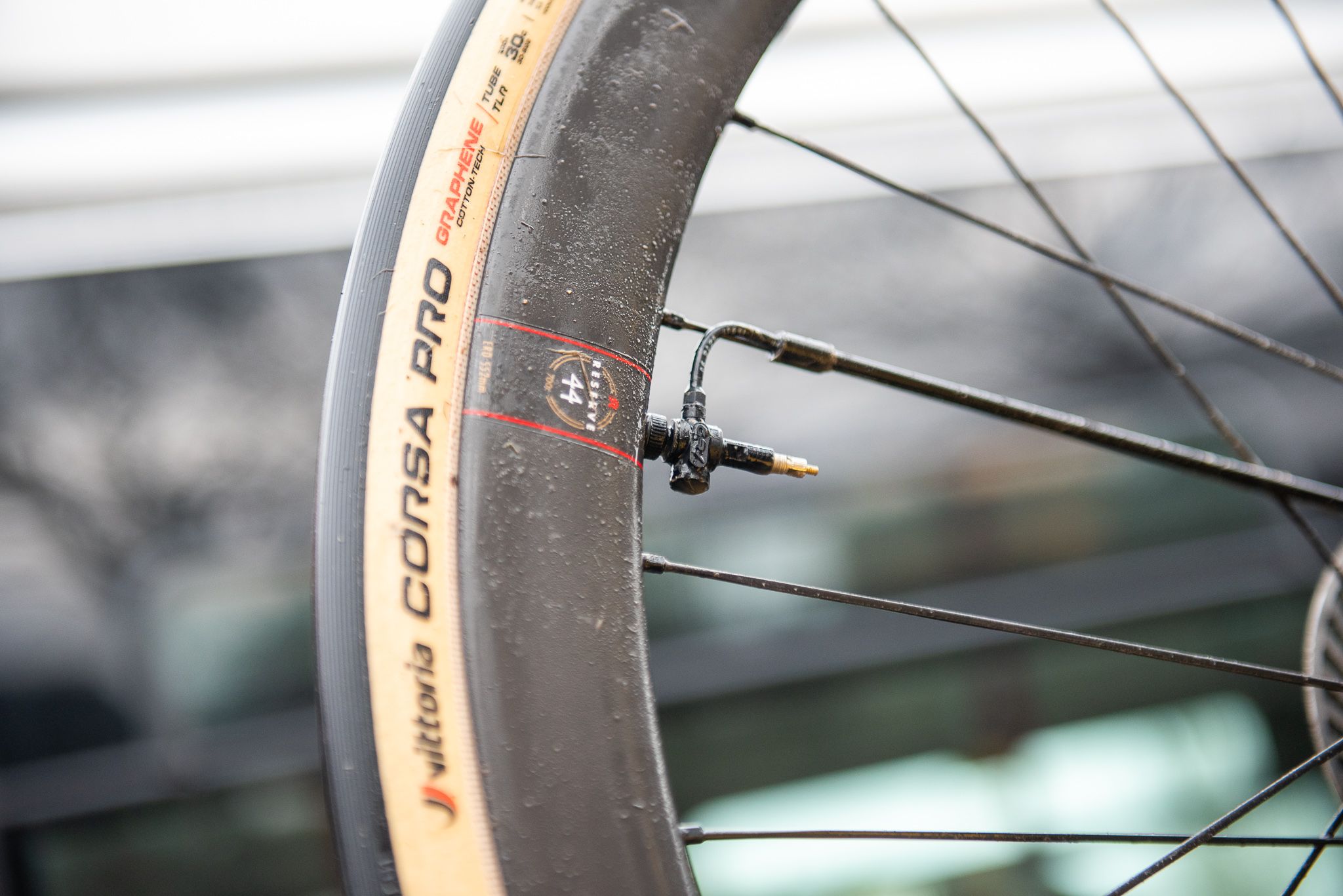 www.cyclingnews.com