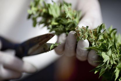 Colorado approves world's first marijuana credit union