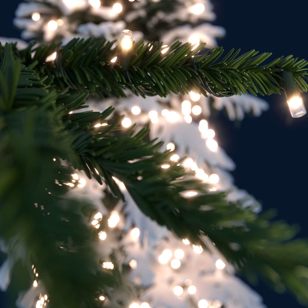 Solar lights on fir tree