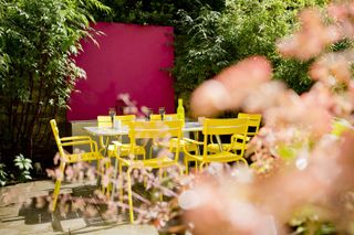 how to make a garden feel modern: bright colours