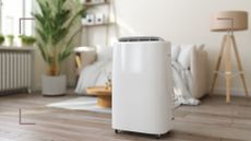 picture of dehumidifier in living room
