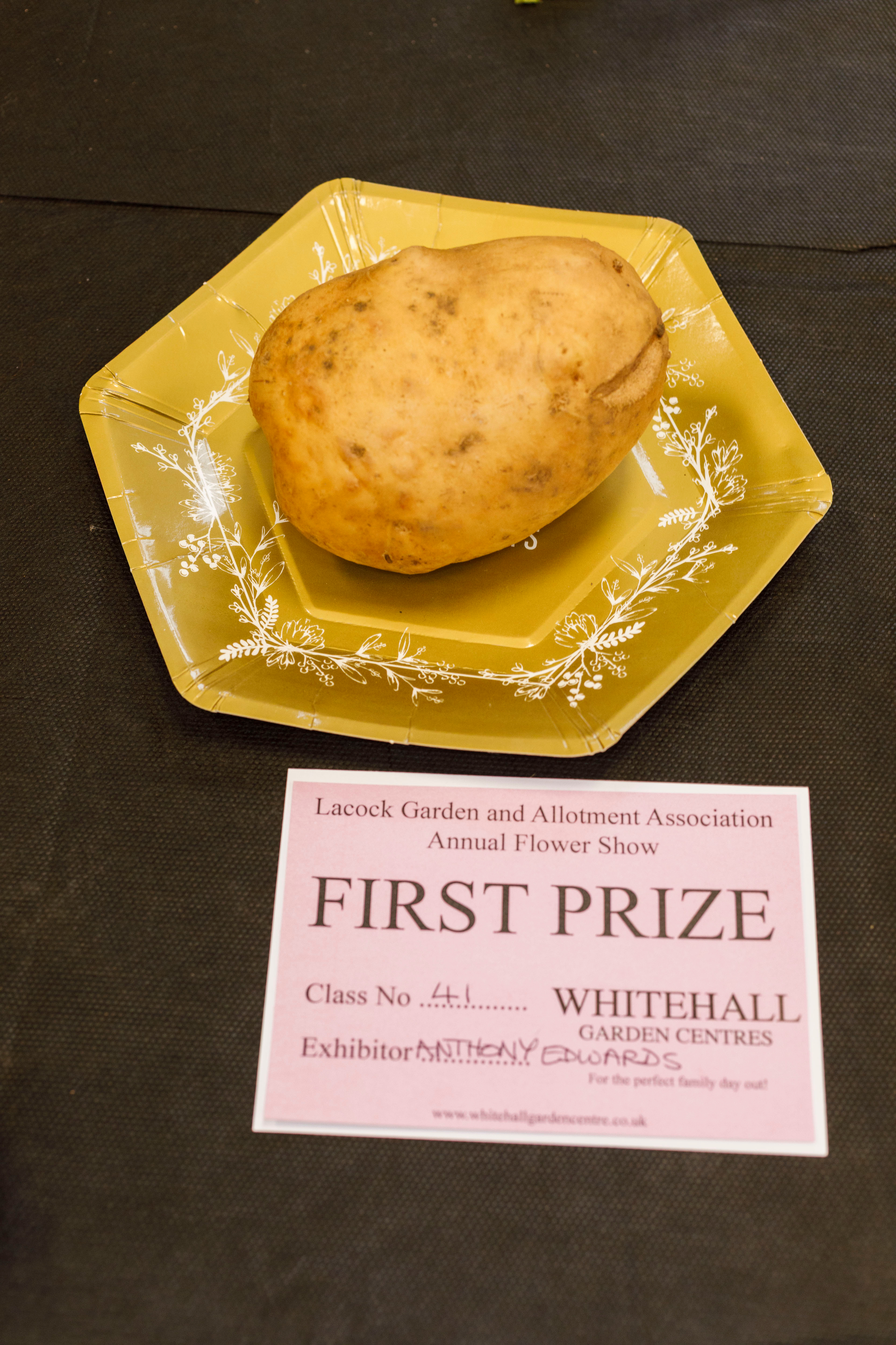 Potato on a gold paper plate on dark tablecloth. In front a pink card: "Lacock Garden and Allotment Association Flower Show / 1ST PRIZE / Exhibitor ANTHONY EDWARDS," with Whitehall Garden Centres logo