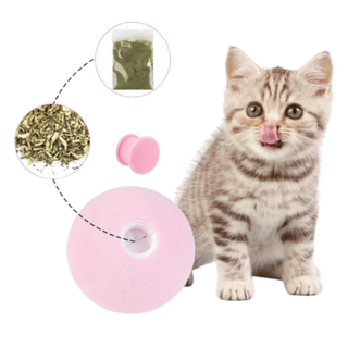 AWHAO Refillable Catnip Interactive Ball, one of the best catnip toys