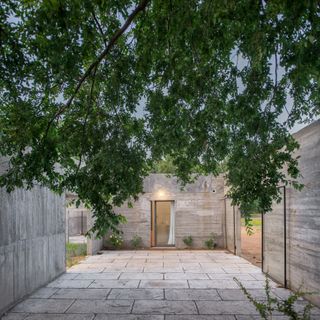 concrete courtyard with green tree