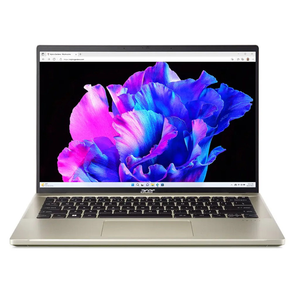 Acer Swift Go 14