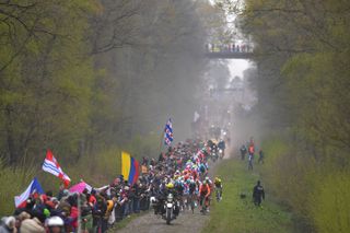 Paris-Roubaix 2019: the riders tackle Arenberg Forest