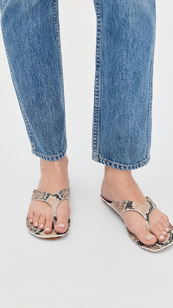 Jamie Haller the San Diego Sandals