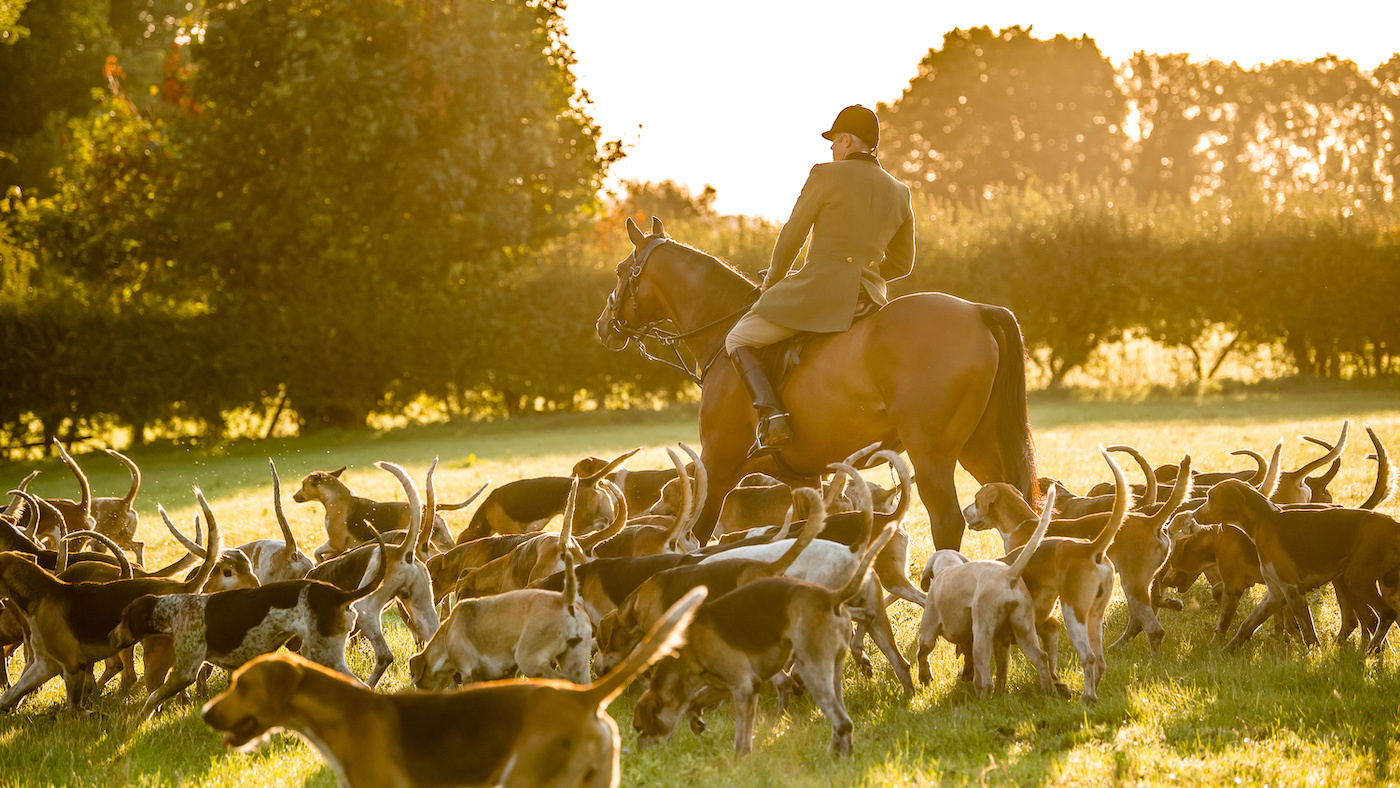 Warwickshire-Autumn-2018-80_228699622_358827891.jpg