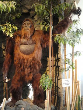 gigantopithecus blacki statue