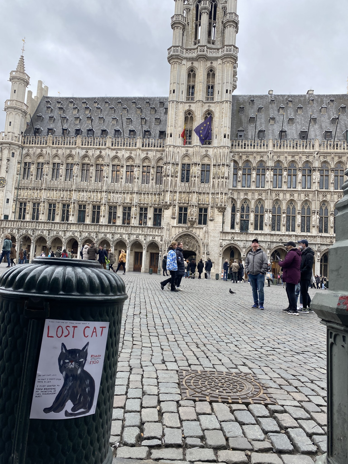 The cat posters