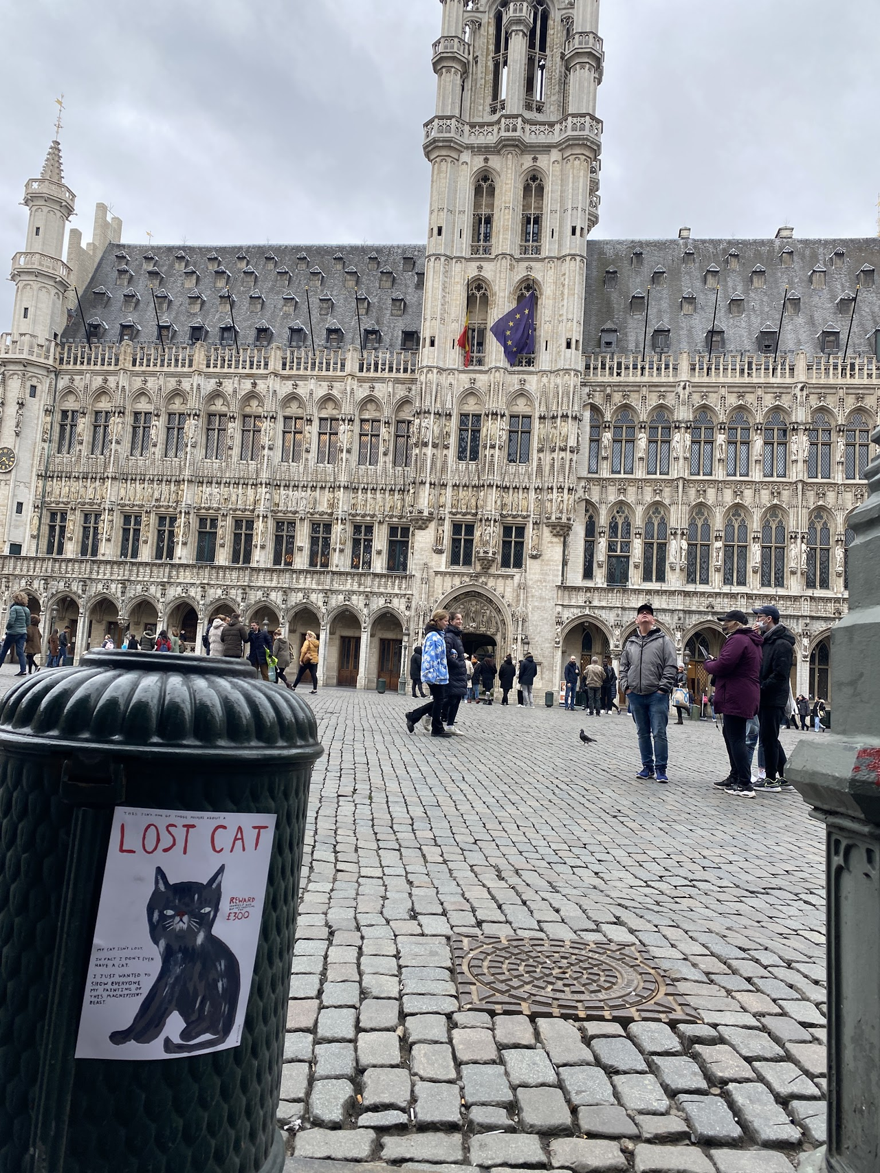 The cat posters