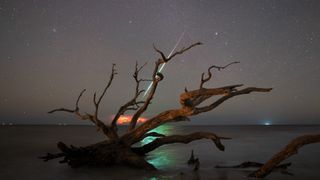 a bright streak of light can be seen in the sky behind a piece of driftwood in the ocean