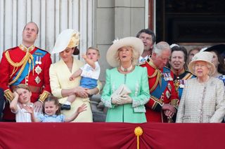 The Queen's birthday: A portrait of the Royal family