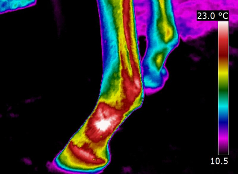 Subchondral-Bone-Cyst1.jpg
