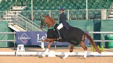 National Dressage Championships - Amy Woodhead on Mount St john Kom Fairytale