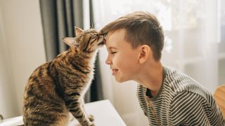 Cat licking boy's forehead