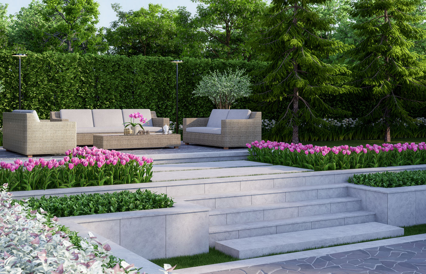 split level garden with patio and garden furniture, steps and raised beds planted with tulips, hedges and trees in background