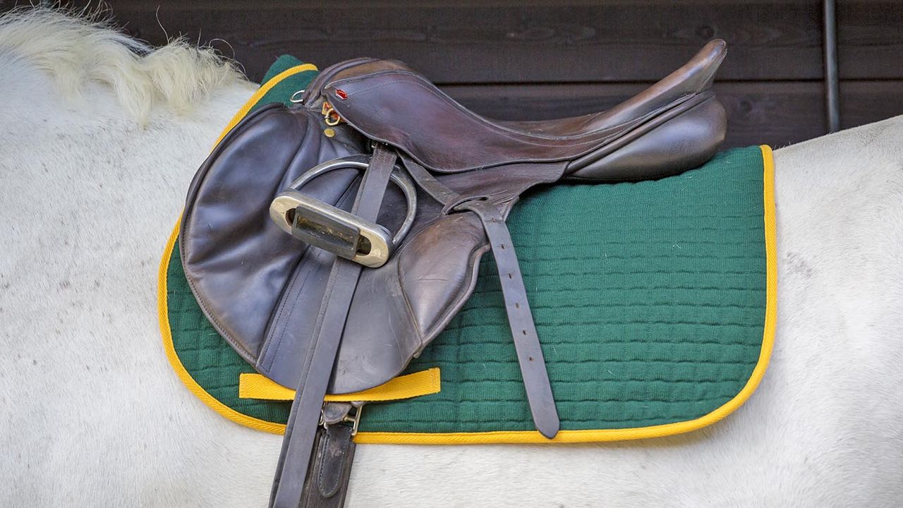 Thermatex quilted saddlecloth review