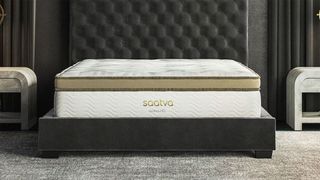 Saatva HD mattress for heavy bodies, on a bed frame in a grey room