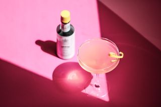 Pink Gin hero