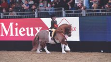 london international showing classes