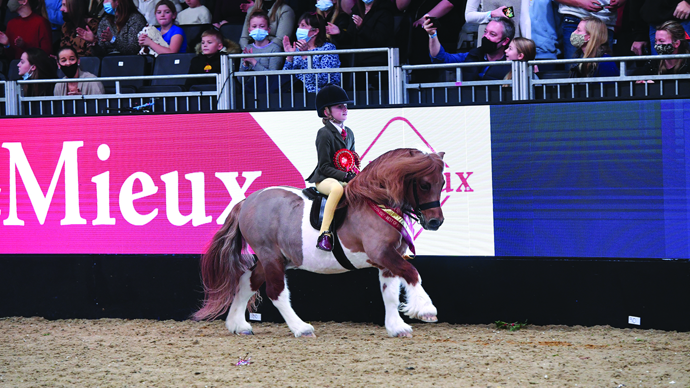 london international showing classes