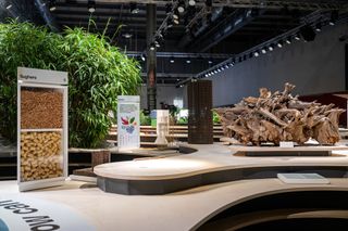 Inside an exhibitions space with multi-level wood seating, plants, a sughero information board