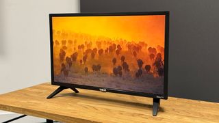 RCA Roku TV 24-inch (RK24HF1) small TV slight angle on wooden TV stand showing wildlife on screen