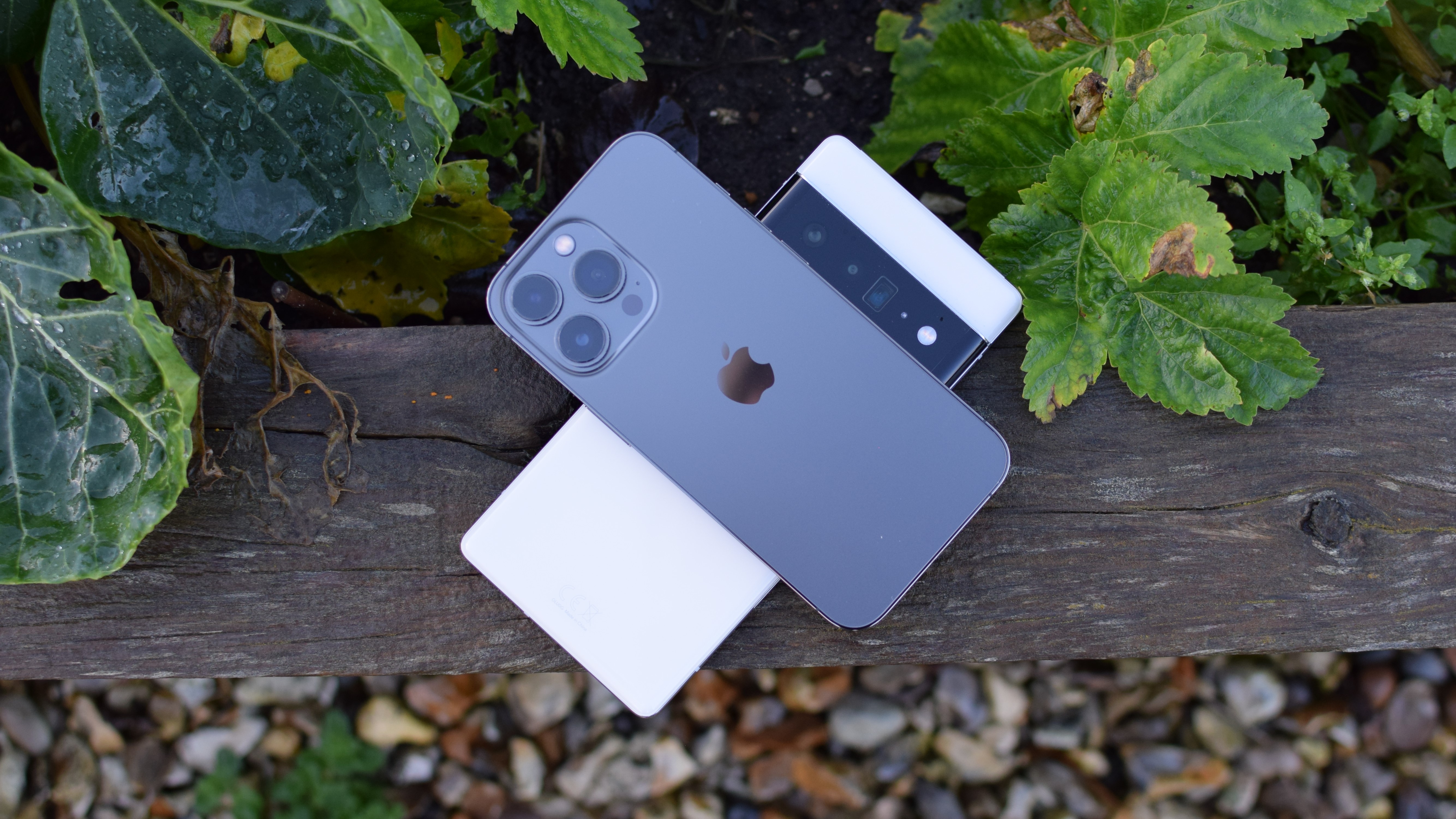 a photo of the iPhone 13 Pro and the Google Pixel 6