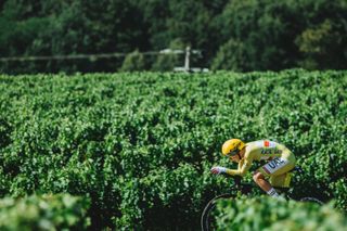 Tadej Pogacar 2021 Tour de France
