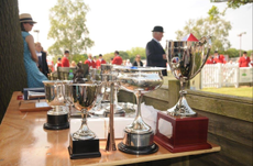 Trophies.png