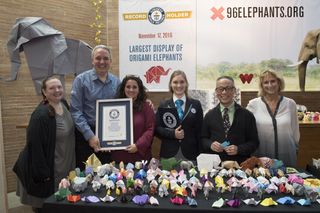 guinnes world records award for most origami elephants