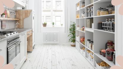 a clean and organized pantry in a modern white kitchen demonstrating how to organize a pantry efficiently