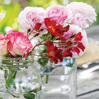 A closeup of cut roses in glass jam jars