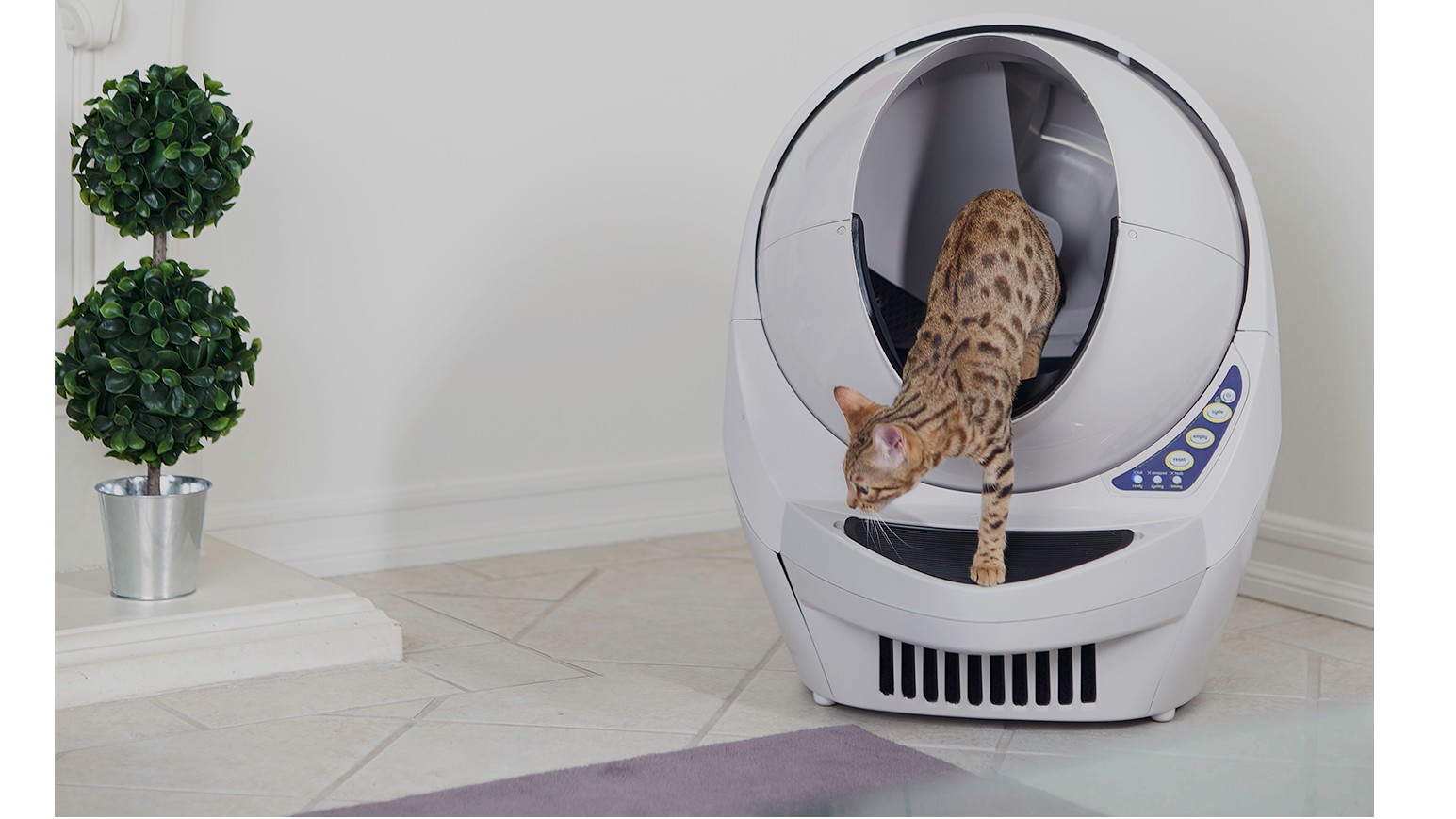 Best selfcleaning cat litter boxes PetsRadar