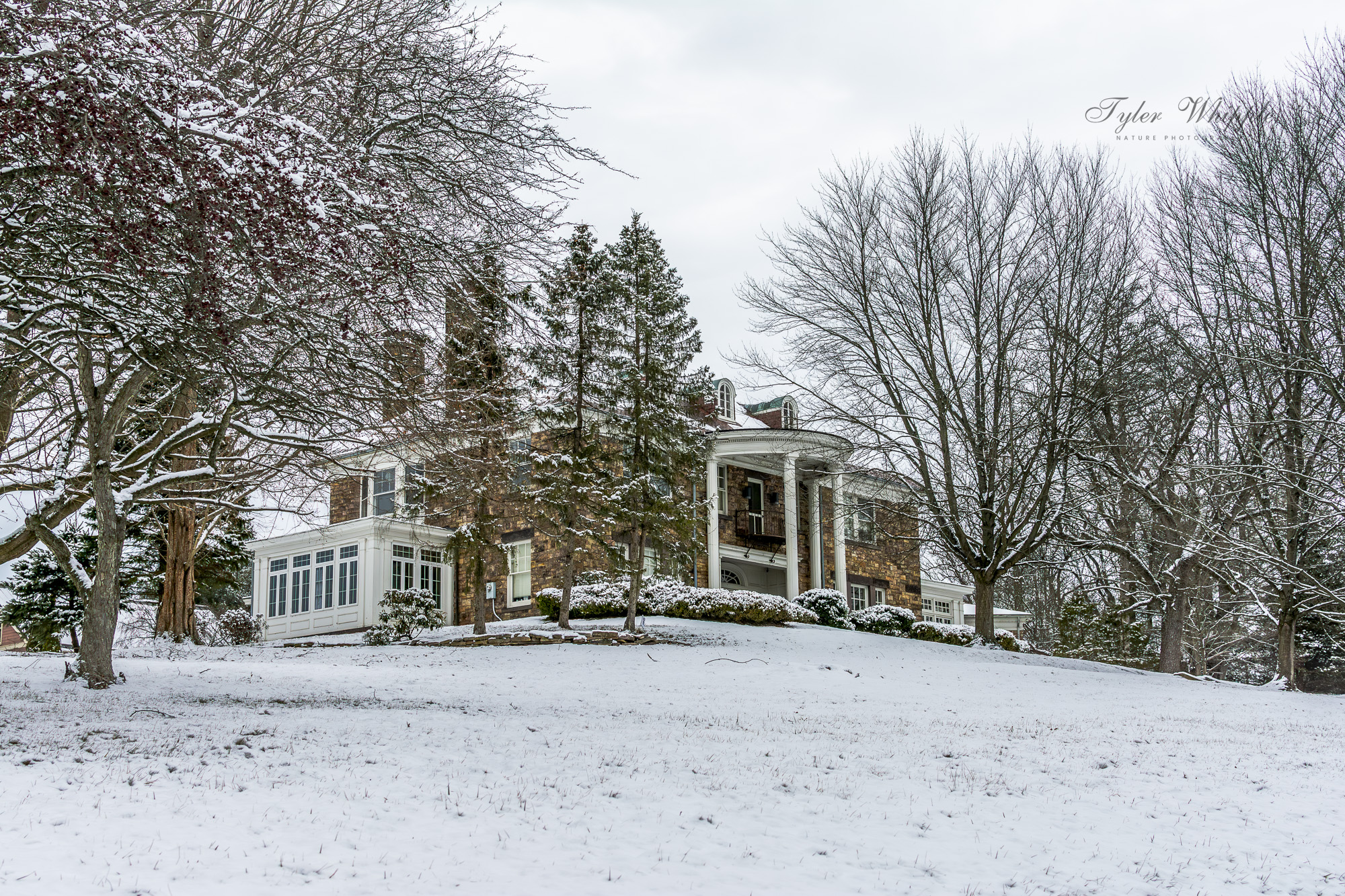 GuruShots - February 2026