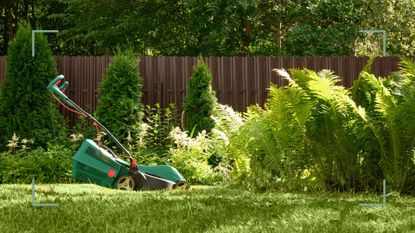 mower on a lawn during summer to question should you leave grass clippings on a lawn after mowing