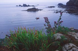 Lizard Point, Cornwall, England