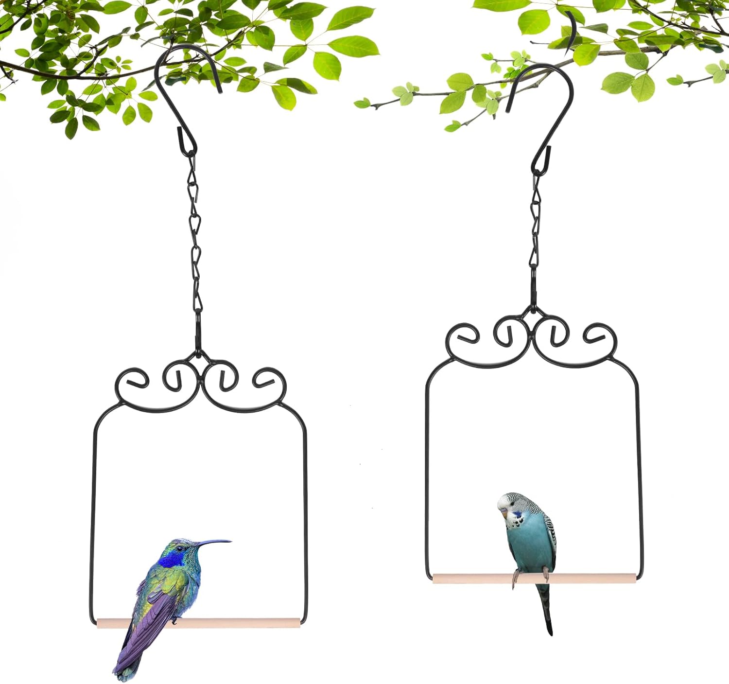 Amazon hummingbird swings