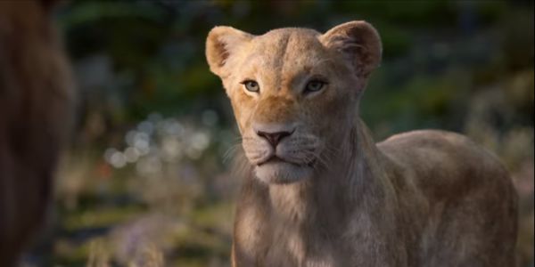 Nala in The Lion King remake