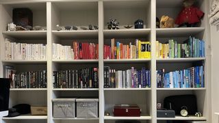 a decluttered bookcase organised by colour