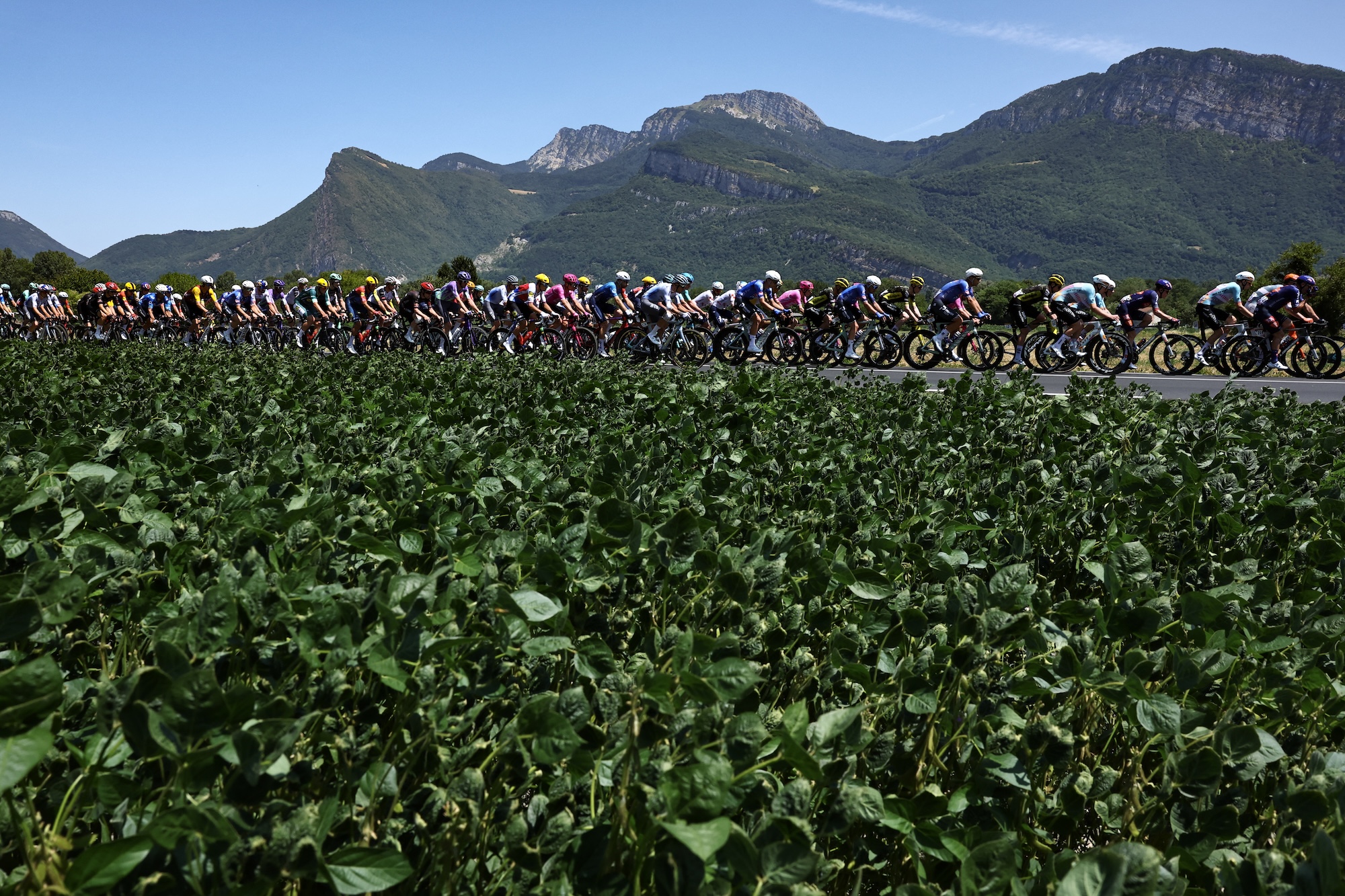 The peloton covered 185.2 km between Voiron and Orci&amp;egrave;res-Merlette in the French Alps on stage 18