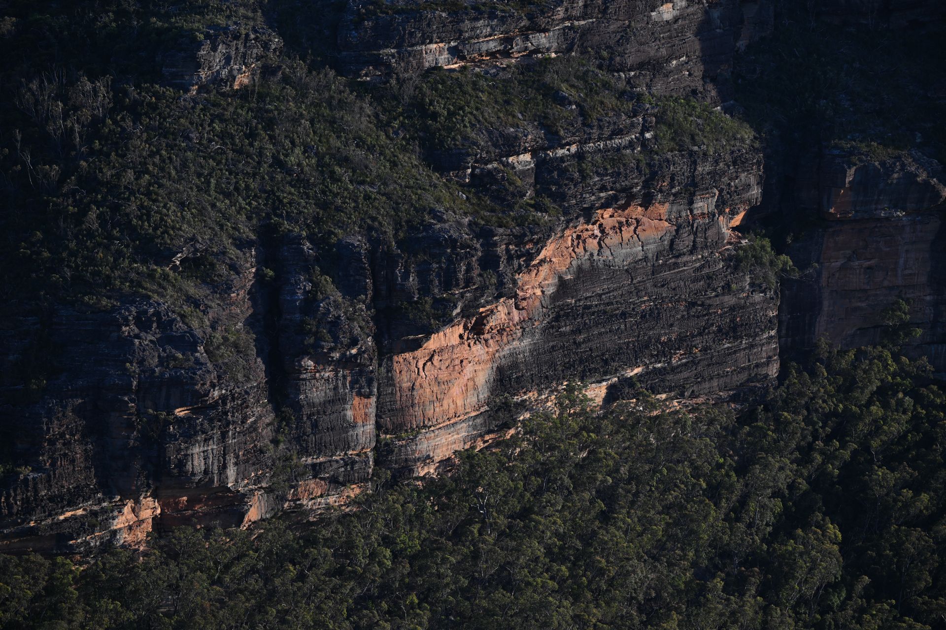 Sample image taken with Nikon Z 70-200mm f/2.8 VR S II