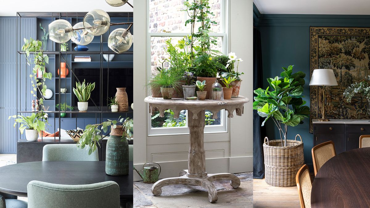 Decorating with plants: 11 ways to display house plants