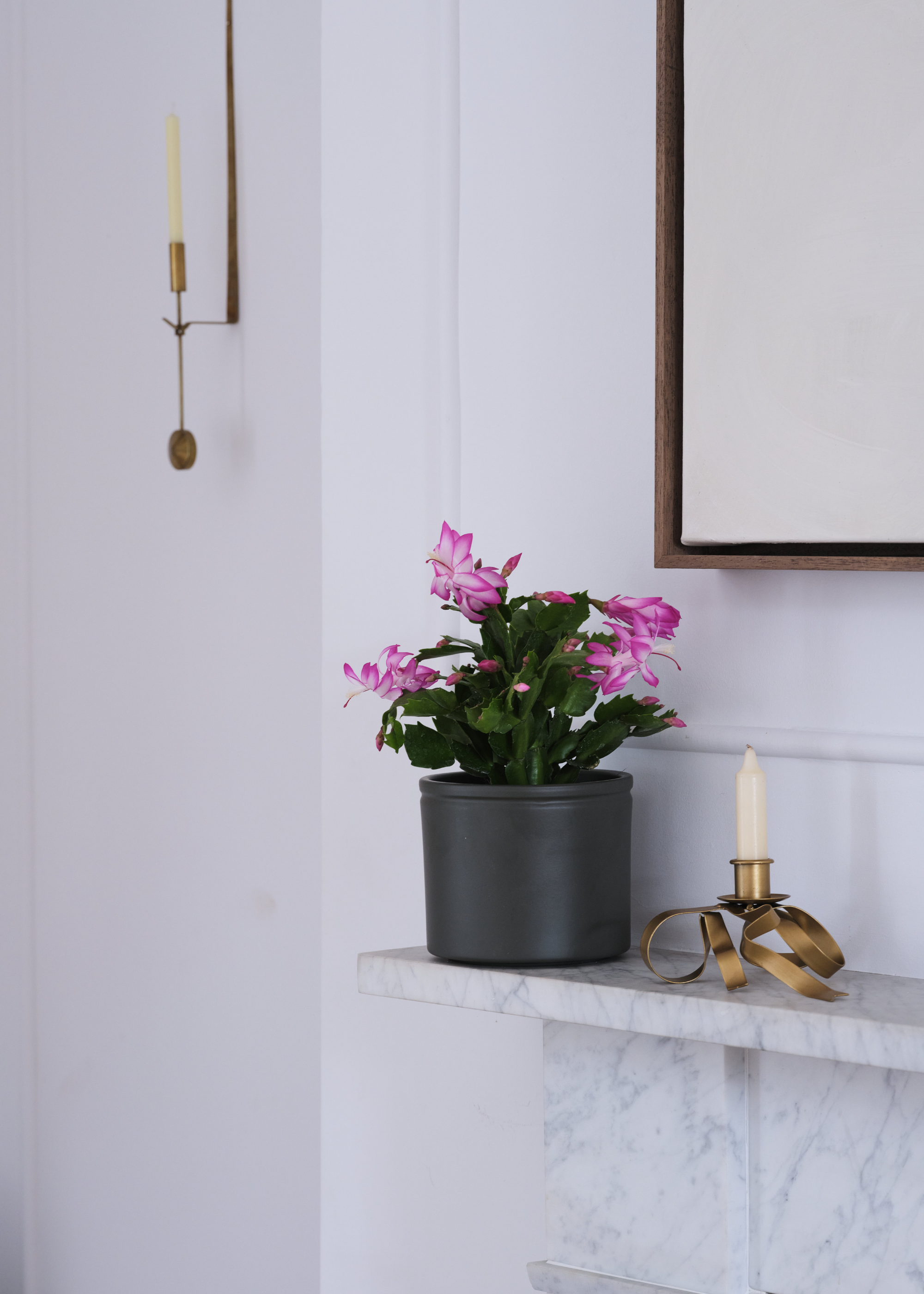 A pink Christmas cactus in a dark gray planter on a mantel by a candle in a gold holder