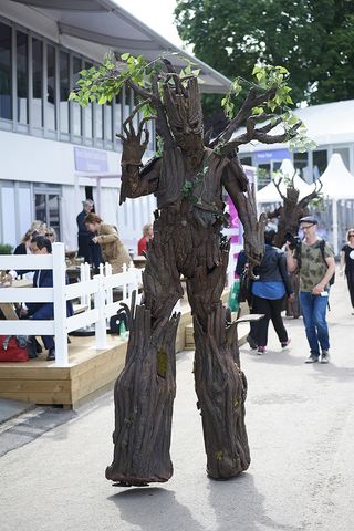 Chelsea Flower Show pictures