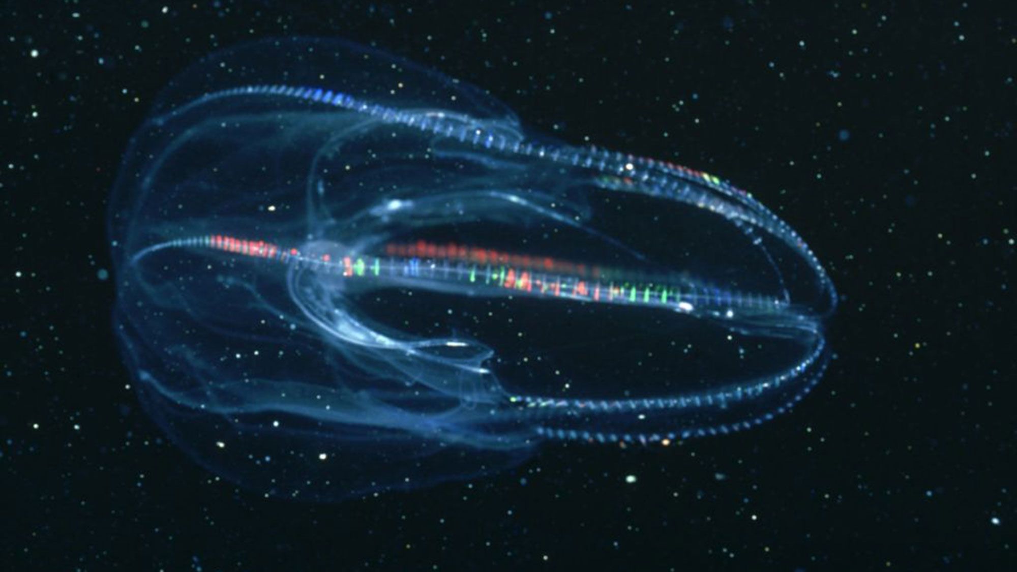 The 14 Wildest Science Stories from 2019 | Live Science